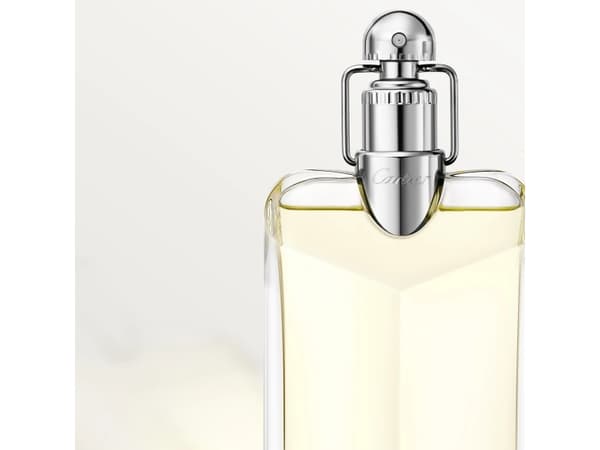 Cartier Déclaration Eau De Toilette Refillable 100 ml (man)