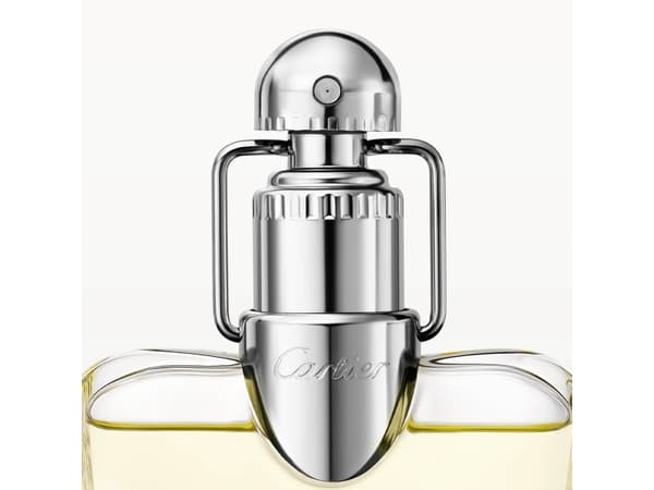 Cartier Déclaration Eau De Toilette Refillable 100 ml (man)