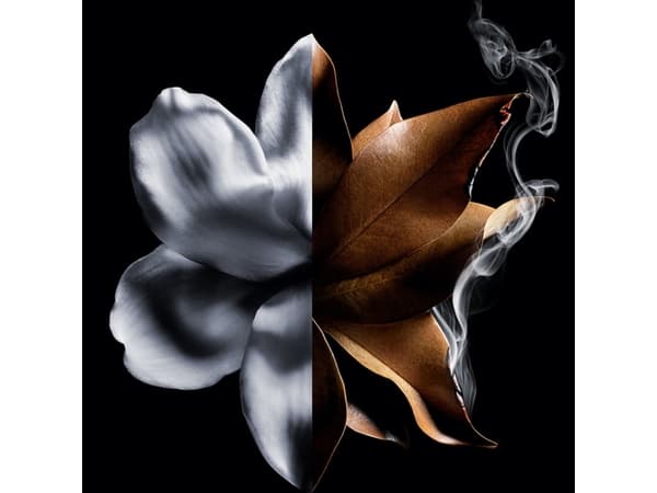 Givenchy L'Interdit Absolu Intense edp 80ml