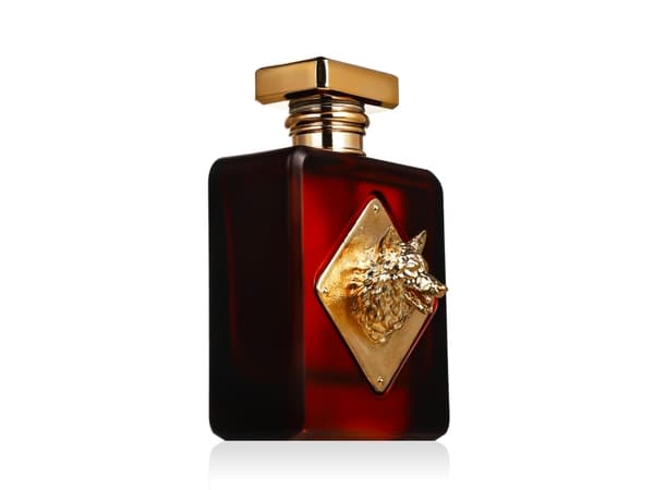 Fragrance World Alpha Eau De Parfum 100 ml (unisex)