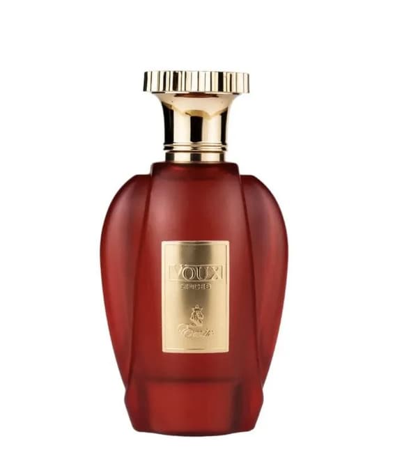 Paris Corner - Emir Voux Spices EDP U 100 ml