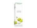 Miniatyrbild 1 av 2: Hermès Un Jardin Sur le Nil Eau De Toilette Refill 200 ml (unisex)