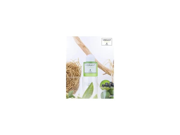 Paris Corner Vibrant Vetiver Delight EDP - 100 ml