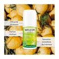 Miniatyrbild 2 av 2: Deodorant - Weleda - Citrus - 24h - Roll-On 50ml - Utan alkohol