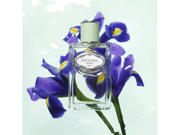 Prada Infusion d'Iris EDP W 100 ml