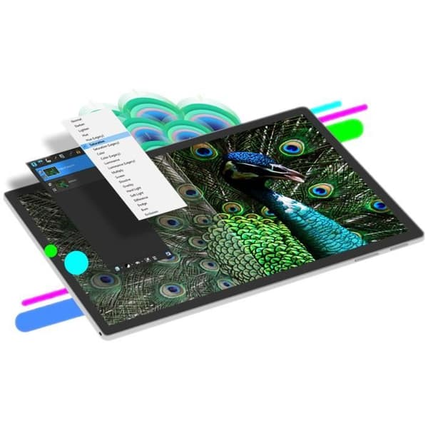 Fotoredigerare - Corel - PaintShop Pro 2023 - Perpetual license - 1 plats - Ladda ner