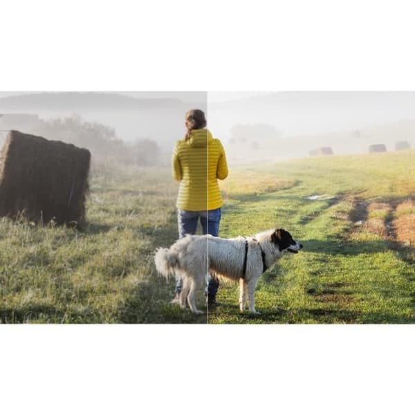 Fotoredigerare - Corel - PaintShop Pro 2023 - Perpetual license - 1 plats - Ladda ner