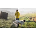 Miniatyrbild 2 av 4: Fotoredigerare - Corel - PaintShop Pro 2023 - Perpetual license - 1 plats - Ladda ner