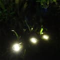 Pikkukuva 2 / 4: LED-puutarhan valo aurinkokenno 8 LEDillä ja IP65-luokalla