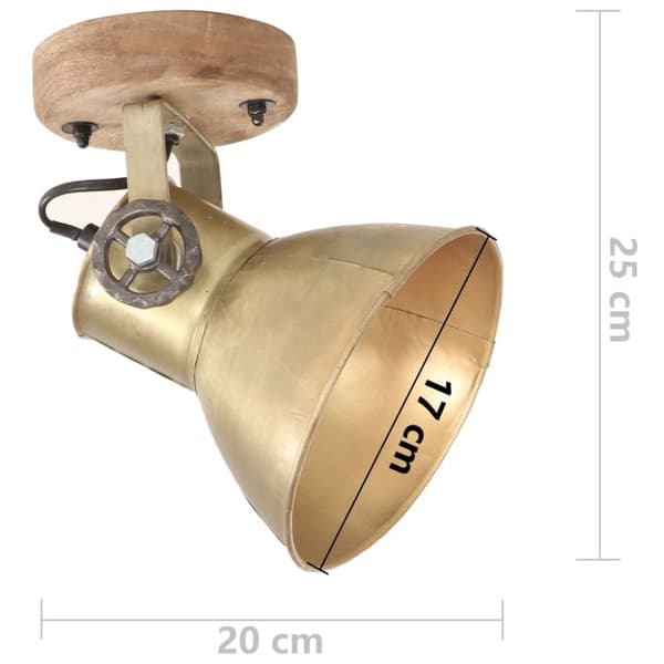 vidaXL Industriell vägglampa/taklampa 2 st mässing 20x25 cm E27