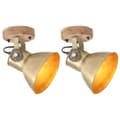 Miniatyrbild 1 av 9: vidaXL Industriell vägglampa/taklampa 2 st mässing 20x25 cm E27
