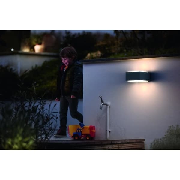 PHILIPS Hedgehog Vägglampa utomhus - Antracit - 1x42W