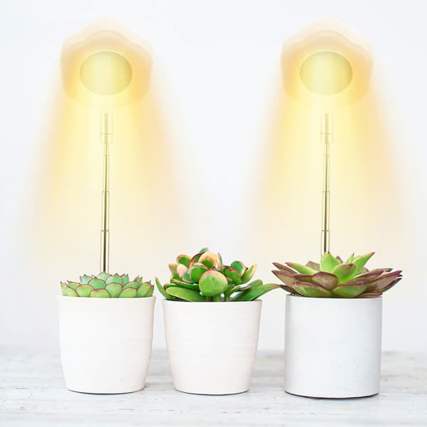 INF Hexagon Grow Lights for innendørs planter Varm hvit/hvit