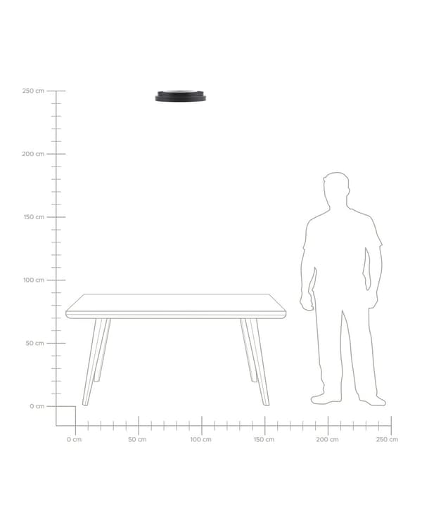 Loftlampe Sort Stål Akryl ø 40 cm Dekorativ Flad Plafond Lampe med Integreret LED Trekantform Smart Moderne Belysning til Køkken Entré Design