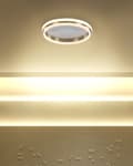 Miniatyrbillede 2 af 9: LED loftslampe guld metal 42 cm plafond rand skærm akryl opal LED belysning
