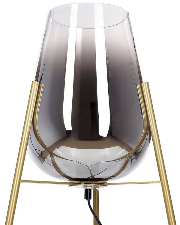 Gulvlampe Guld Stål Glas Røget Skærm Moderne Glam Design Stuebelysning