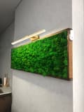 Miniatyrbillede 3 af 7: VÆGLAMPE LED GULD 60CM APP834-1W