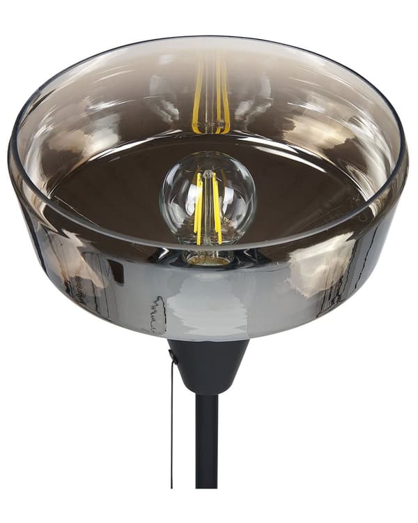 Gulvlampe Sort og Guld Metal Base Glas Røget Skærm 154 cm Trækkontakt Moderne Soveværelse Stue Belysning