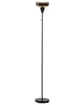 Miniatyrbillede 1 af 8: Gulvlampe Sort og Guld Metal Base Glas Røget Skærm 154 cm Trækkontakt Moderne Soveværelse Stue Belysning
