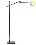 Pikkukuva 1 / 11: LED-lattiavalaisin tummanharmaa synteettinen materiaali 144 cm korkea himmentimellä moderni tyyli
