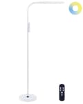 Miniatyrbillede 1 af 11: Gulv LED Lampe Hvid Syntetisk Materiale 160 cm Højde Lysdæmpning Fjernbetjening Moderne Belysning Hjemmekontor