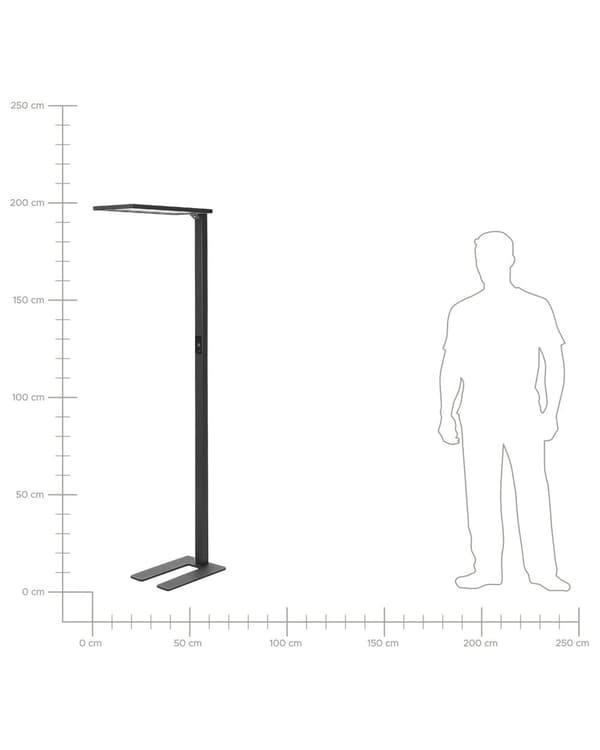 Gulvlampe Svart Metall LED 196 cm Berøringsbryter Bevegelsessensor Moderne design Belysning Hjemmekontor