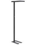 Miniatyrbilde 1 av 11: Gulvlampe LED Svart Metall h 197 cm Dimmerbryter Moderne Kontor Belysning Stålampe