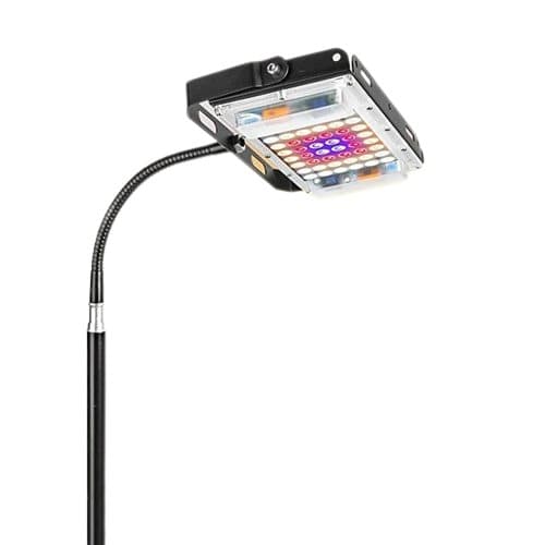 INF Clamp-On Plant Light med på/av-brytare Svart