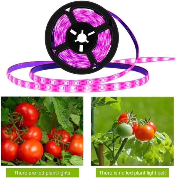 5m 5V USB Led Plant Grow Light Full Spectrum Phyto Lamp Strip For Seeds Flower Greenhouse Tent Hydroponic Plants Lighting