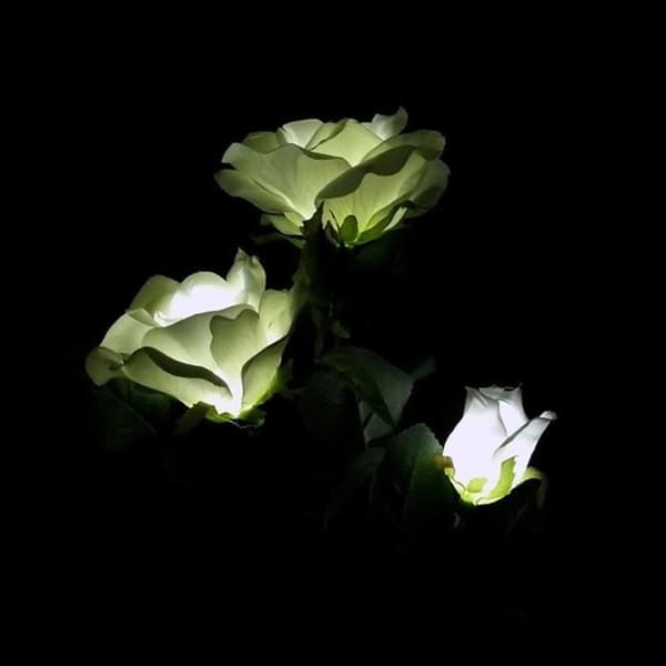 Dekorativ 3-Light Solar Garden Light Blomsterträdgårdslampa med vit rosenbuske