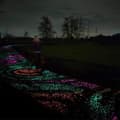 Miniatyrbild 3 av 4: GR15527-Utomhus lysande sten, 200 st konstgjorda fluorescerande småsten dekoration för trädgård Pathway poolbelysning