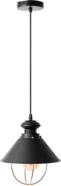 Miniatyrbild 4 av 7: Hängande taklampa LINZ APP103-1CP Vit