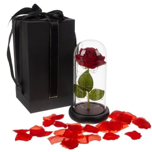 Rose i glass - glødende Malatec 21619