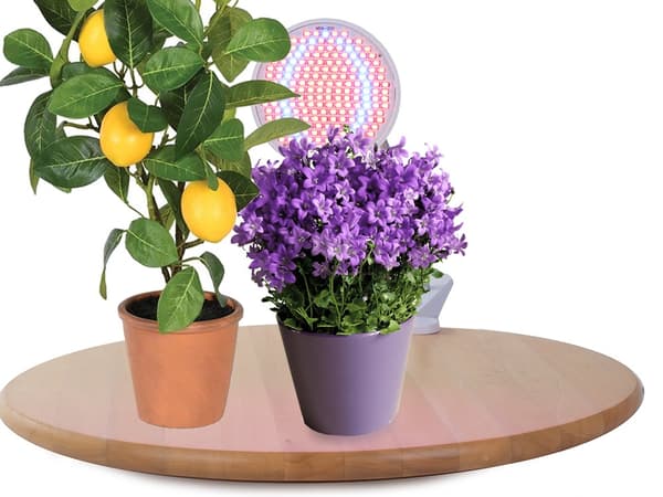 LED Växtlampa / Odlingslampor / Växtbelysning - 20W