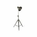 Miniatyrbild 1 av 5: Golvlampa DKD Home Decor Metall Silver 60 W (74 x 61 x 182 cm)