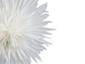 Miniatyrbild 6 av 9: Dekorativ Lampa Snöflinga Stjärna Vit Papper och Järn Jul Festlig Dekoration Handgjord