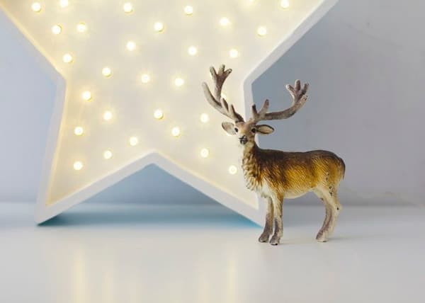 Little Lights - White Star Night Light