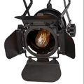 Miniatyrbillede 7 af 7: Studie 2 Stage Spotlight - Harmonika