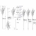 Miniatyrbillede 3 af 3: Solcellelampe Galix G4505
