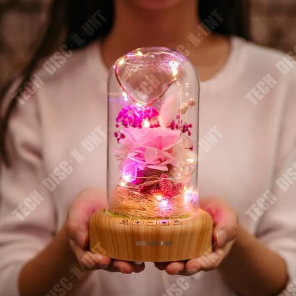 TD® Streamer Önskar Jul Micro-Landskap LED-present Barn Flicka Pojke Bluetooth USB Mjukt ljus Bordslampa Sängbordsdekoration