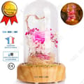 Miniatyrbild 1 av 4: TD® Streamer Önskar Jul Micro-Landskap LED-present Barn Flicka Pojke Bluetooth USB Mjukt ljus Bordslampa Sängbordsdekoration