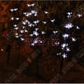 Miniatyrbild 4 av 4: TD® Solar Lawn Lights 3st 60 LED (Peach Tree) - Vattentäta lampor för fester - Trädgårdsdekoration