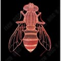Miniatyrbild 2 av 4: TD® 3D-lampa Flugillusion Nattljus/7 färgskiftande beröring Akryl platt bas ABS USB-kabel/nattljusdekoration