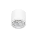 Miniatyrbild 1 av 4: Spectrum LED Wojnarowscy CHLOE taklampa IP65 vit SLIP005031