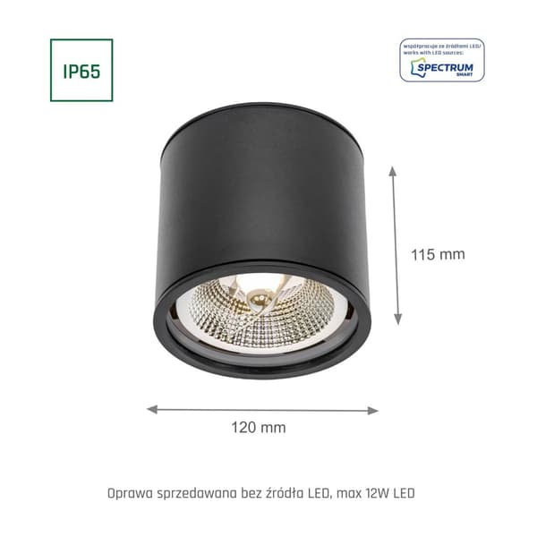 Spectrum LED Wojnarowscy CHLOE kattovalaisin IP65 musta SLIP005032