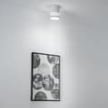 Miniatyrbillede 8 af 10: Påbygningsmonteret HALOGEN Spot Tube ARISA GU10 Rund Hvid 80mm