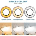 Miniatyrbild 2 av 5: Skrivbordslampa med Flexibel Klammer 360° Lampa för Läsning Med Klämfäste 3 Ljusstyrkor &amp; 10 Nivåer av Ljusstyrka Led USB, Svart