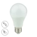 Miniatyrbillede 1 af 5: LED Pære TWILIGHT-MOTION E27 9W A60 VARM