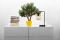 Miniatyrbild 6 av 10: NATTLAMPA BORDSLAMPA GLAS LED VAL
