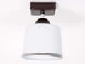 Miniatyrbillede 7 af 10: Loftslampe Loftslys Forskellige farver Lampeskærm Glas LED